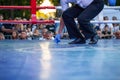 Referee lifts the mouthguard from the ring during Boxing match between national teamsÃÂ UKRAINE - ARMENIA